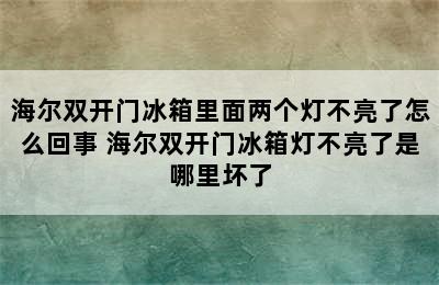 海尔双开门冰箱里面两个灯不亮了怎么回事 海尔双开门冰箱灯不亮了是哪里坏了